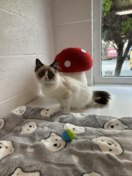 December 2025 Gallery Main Photo